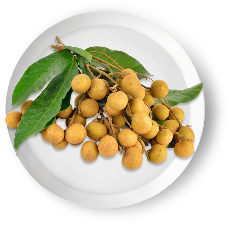 product OK fresh fruit